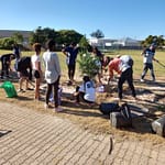 Tree Planting at Square Hill Primary School